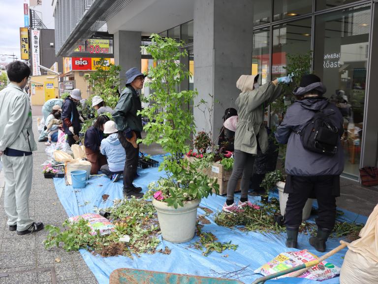 はっちガーデンお手入れ～春の寄せ植え～