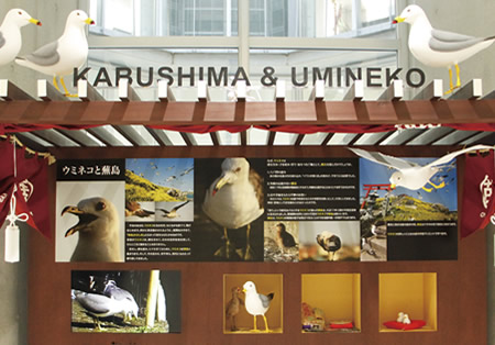 Kabushima Black -tailed gull Booth