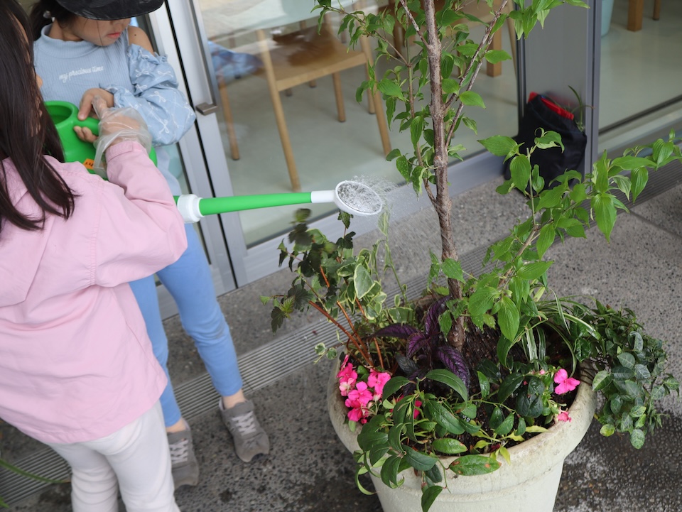 画像：寄せ植えの様子