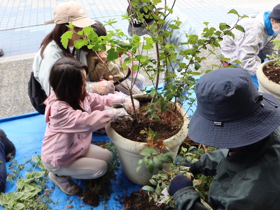画像：寄せ植えの様子