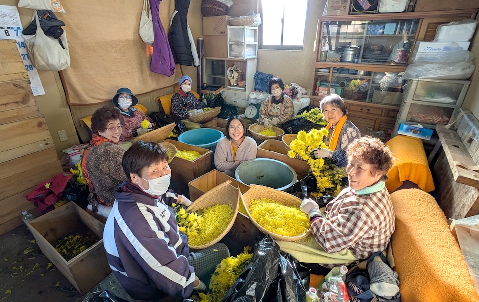 人間ノリ巻き第1期滞在